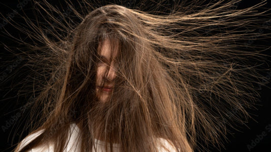 An image of a woman with long staticky hair.